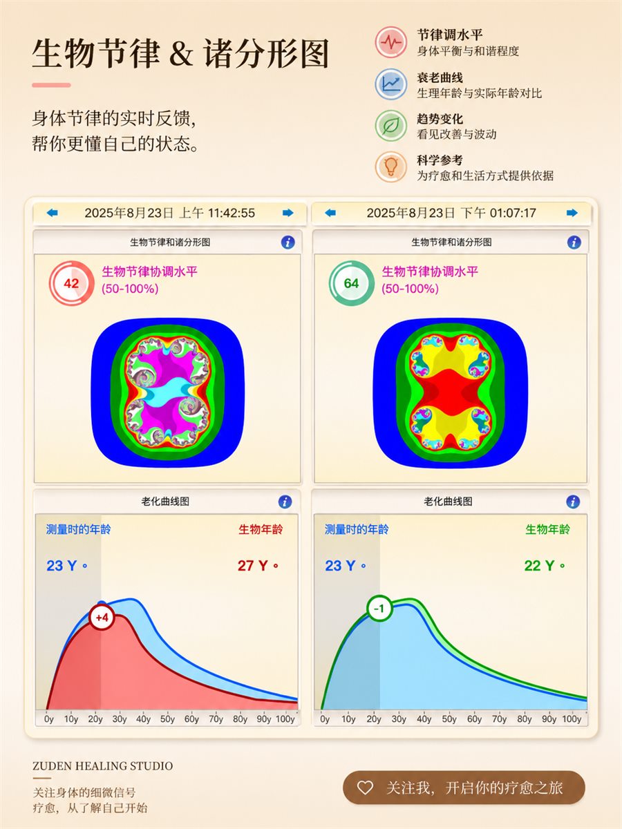 生物节律与谐分形图报告说明